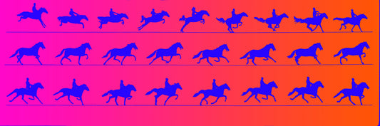 Zoetrope (Muybridge x Miller)