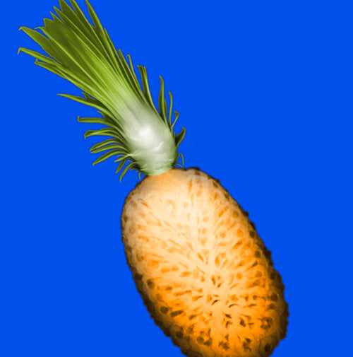 Pineapple