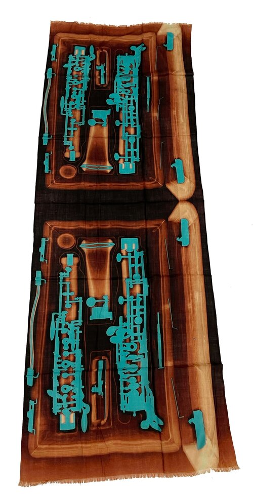 Oboe in Case