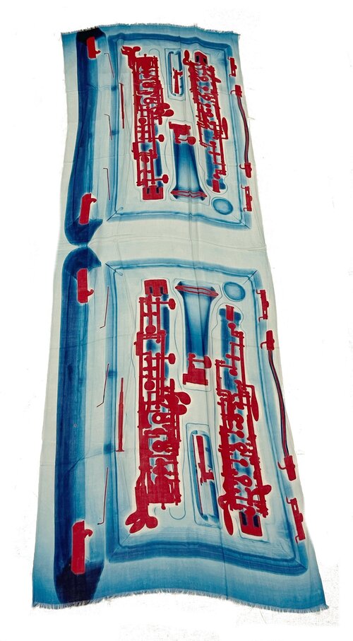 Oboe in Case