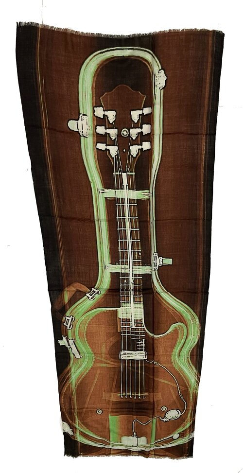 Electric Guitar in Case 02