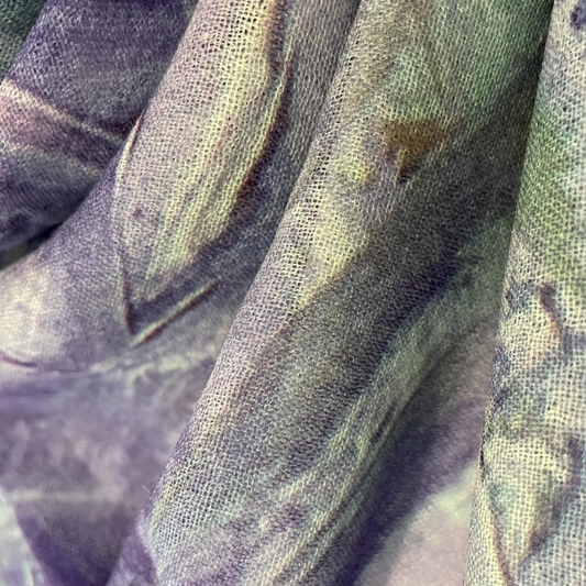 Wisteria